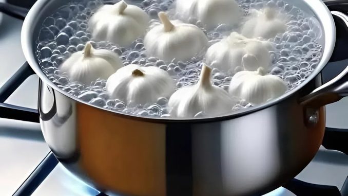snapedit_1753765836807