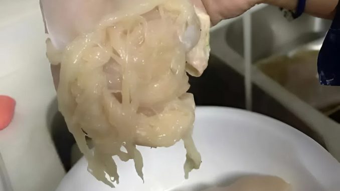 snapedit_1760552588638