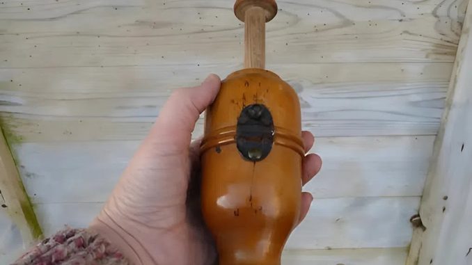 snapedit_1760971940545