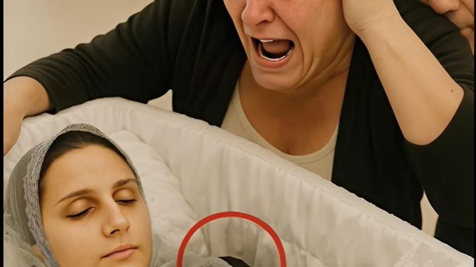 snapedit_1761971301766