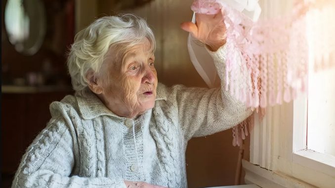 snapedit_1762069334515