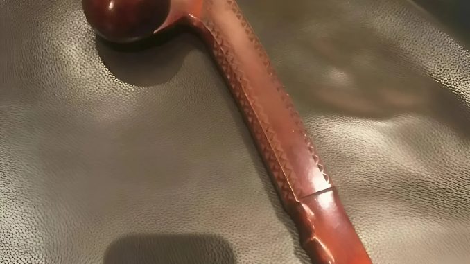 snapedit_1750421843363