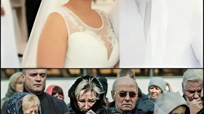 snapedit_1753851504894