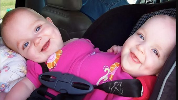 snapedit_1762065137995